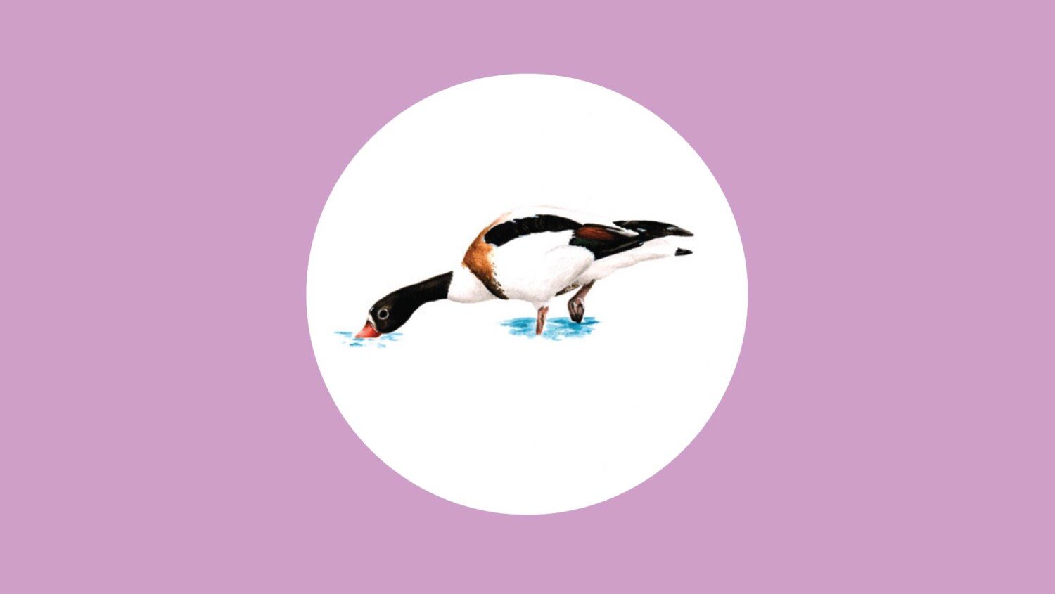 Atlas de la biodiversité réalisée par notre agence de communication à Rennes.